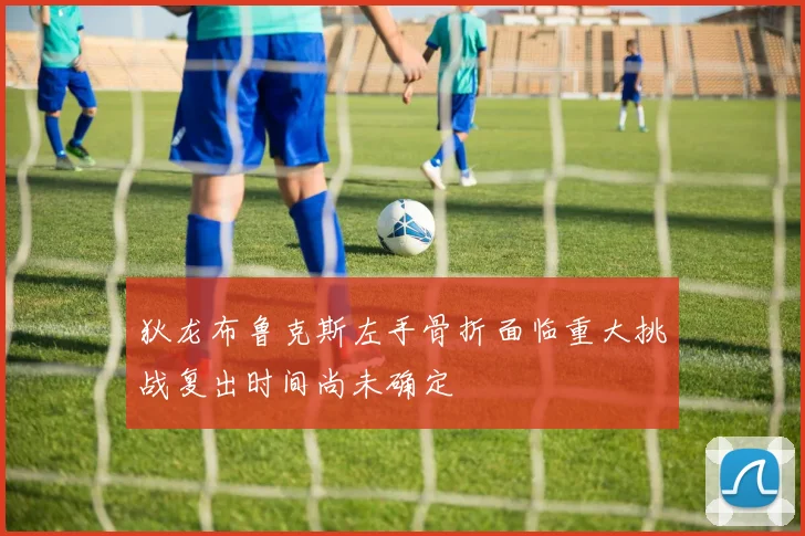 狄龙布鲁克斯左手骨折面临重大挑战复出时间尚未确定