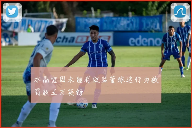 水晶宫因未能有效监管球迷行为被罚款五万英镑