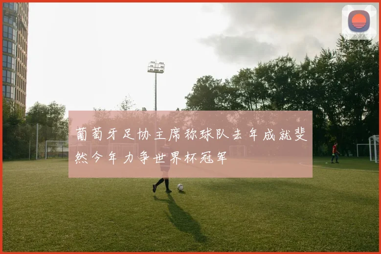 葡萄牙足协主席称球队去年成就斐然今年力争世界杯冠军