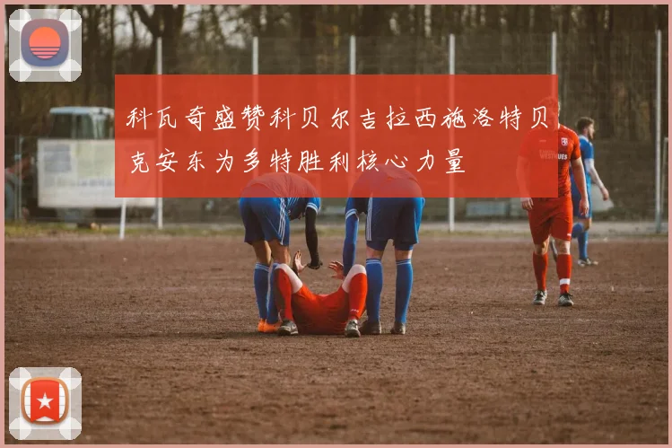 科瓦奇盛赞科贝尔吉拉西施洛特贝克安东为多特胜利核心力量