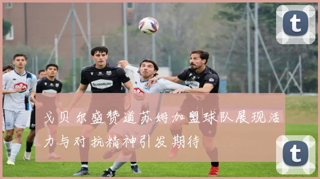戈贝尔盛赞道苏姆加盟球队展现活力与对抗精神引发期待